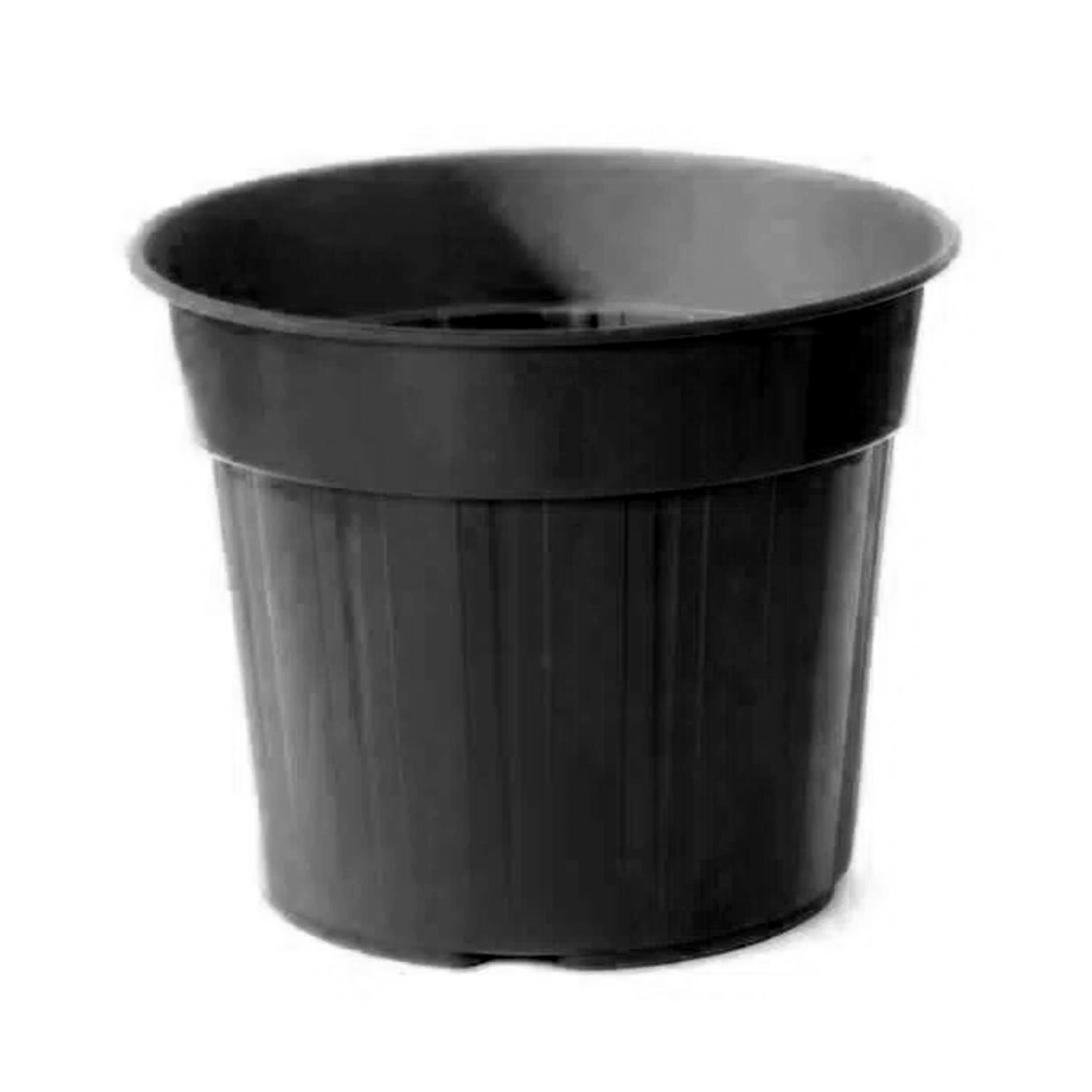 Maceta