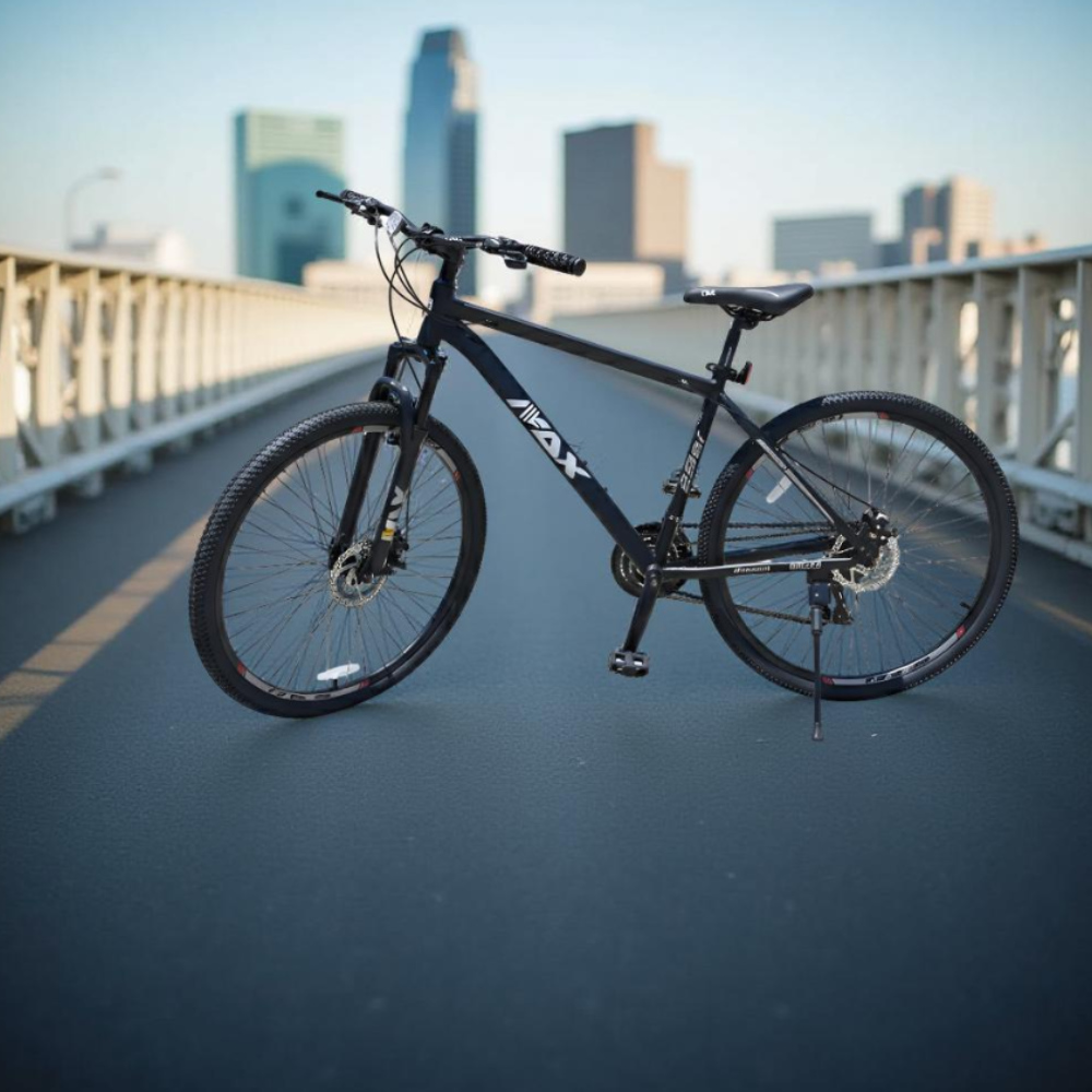 Bicicletas