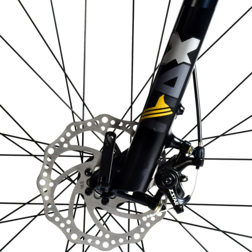 Bicicletas